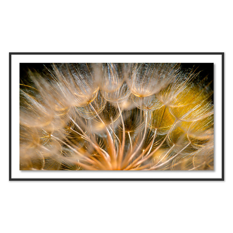 Float Away Print by Geoffrey Baris, Black, 43" H x 72" W x 2.5" D