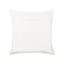 Cassidee Floral Blue Square Cushion