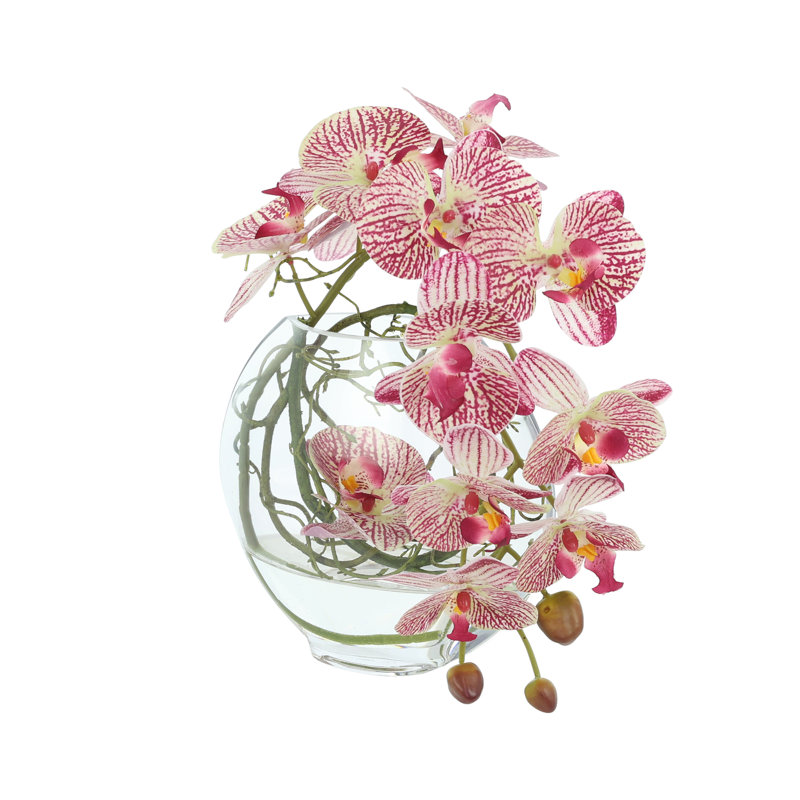 Orchid and Vine Arrangement in Glass Vase, Pink