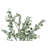 Artificial Plant