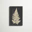 «Linen Fern I» par Vision Studio, impression sur toile-1261290177-1273913901-1293014367