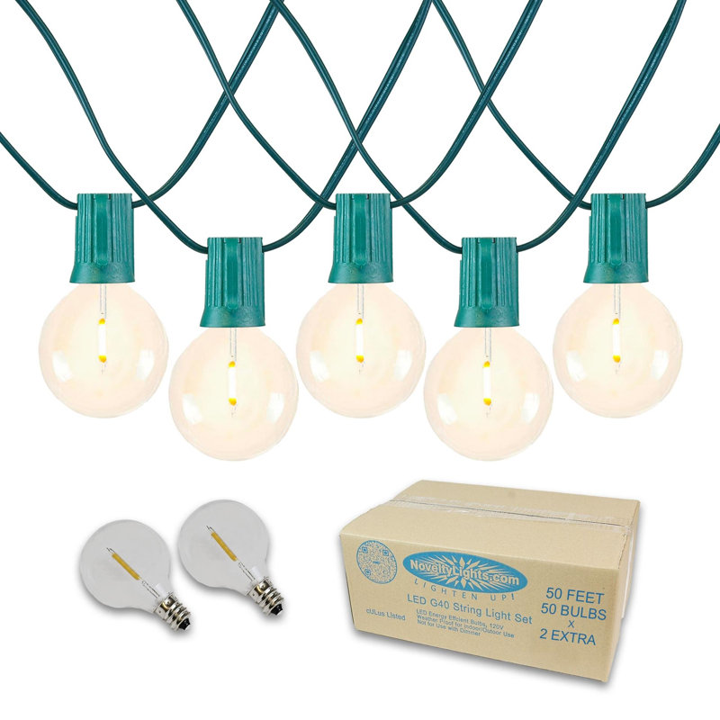 Doyne Outdoor 50 - Bulb 50'' Plug-in LED Globe String Light, Green