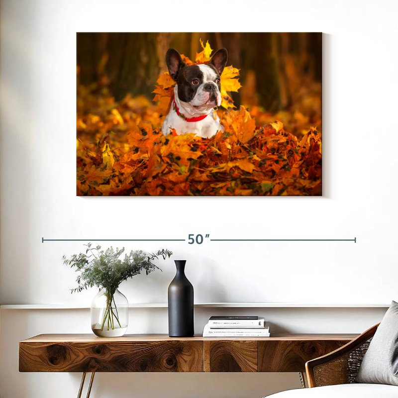 Bouledogue français dans un parc en automne, H 26 po x l 39 po