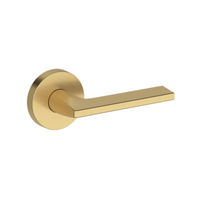 Anaheim Hills Full Dummy Lever with Contemporary Round Rose in Lifetime (PVD)