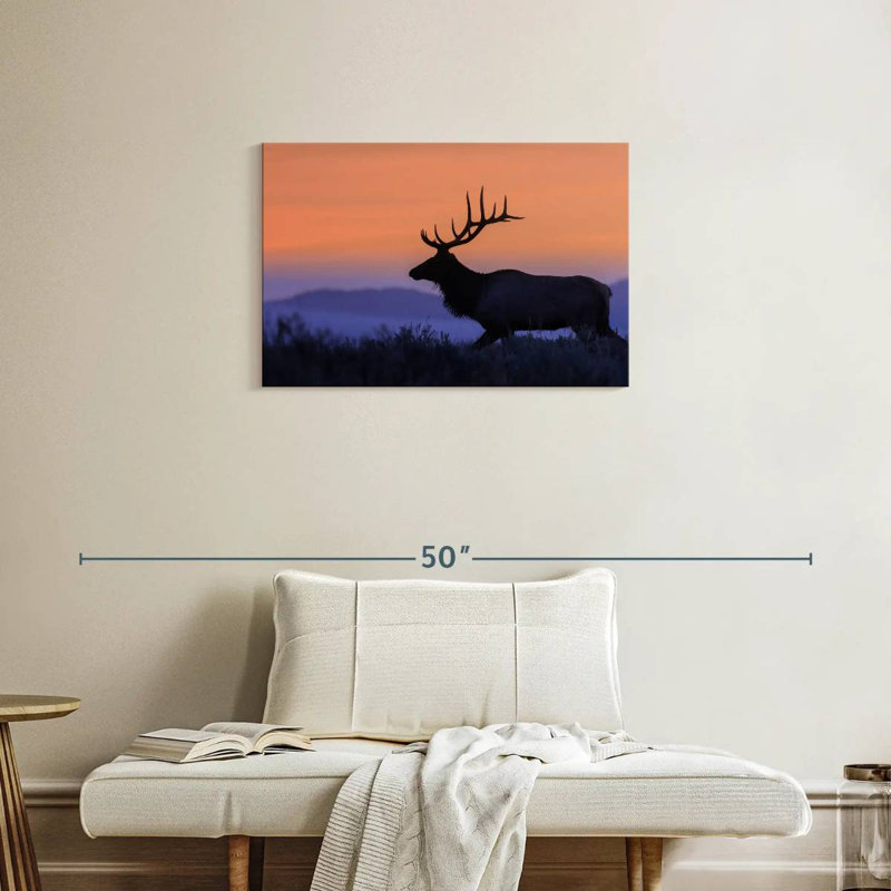 Wapiti brulé contre le coucher du soleil, H 20 po x l 30 po