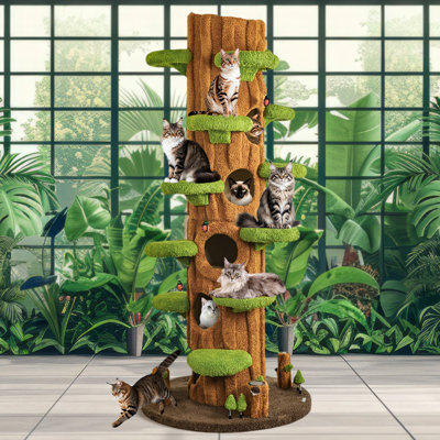 Arbre à chat 91 "élisha