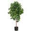 Arbre ficus artificiel en pot-521621003