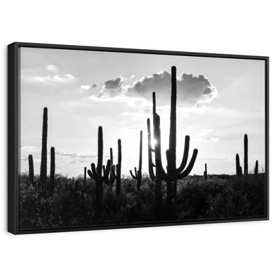 Arizona noir - Silhouettes de cactus