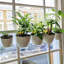 Planter