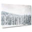 Winter Trees - Wrapped Canvas-56641926