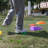 WYZworks Plastic Agility Training Equipment
