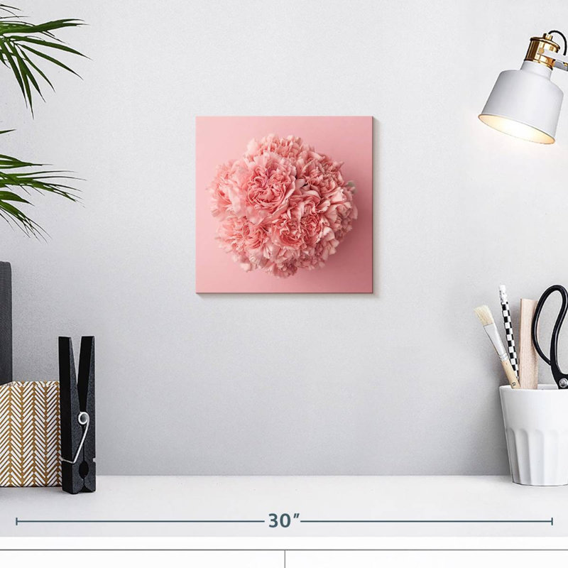 Œillet Harnek rose, H 10 po x l 10 po