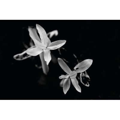 Poetry VI by Tang Ling - No Frame Print on Canvas