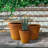 Waitman Pot Planter-1075021822