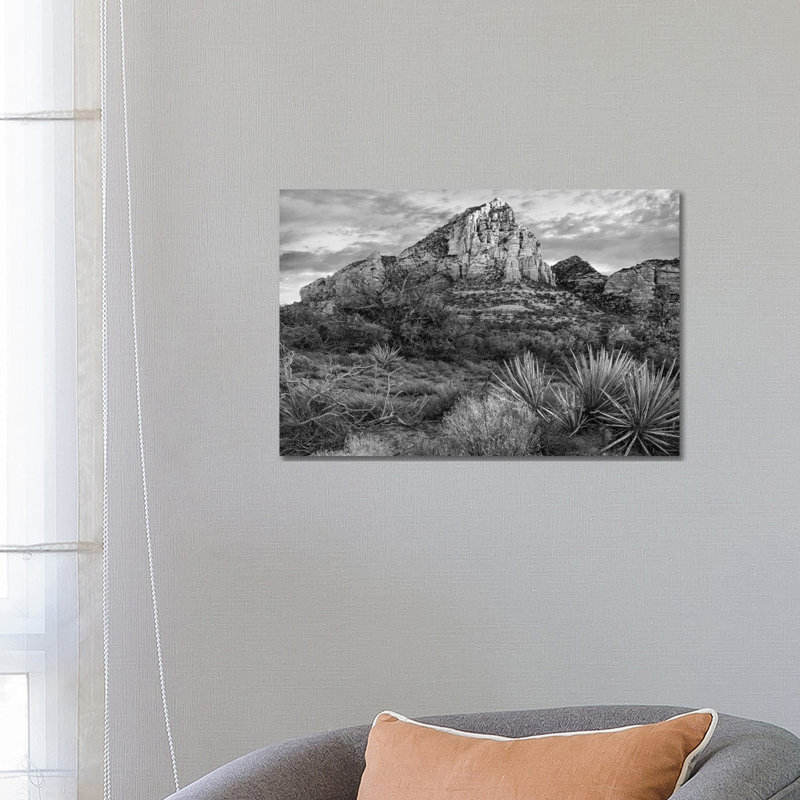 Narrow Leaf Agaves And Thunder Mountain, Coconino National Forest, Near Sedona Arizona by Tim Fitzharris - Gallery-Wrapped Canvas Giclée on Canvas