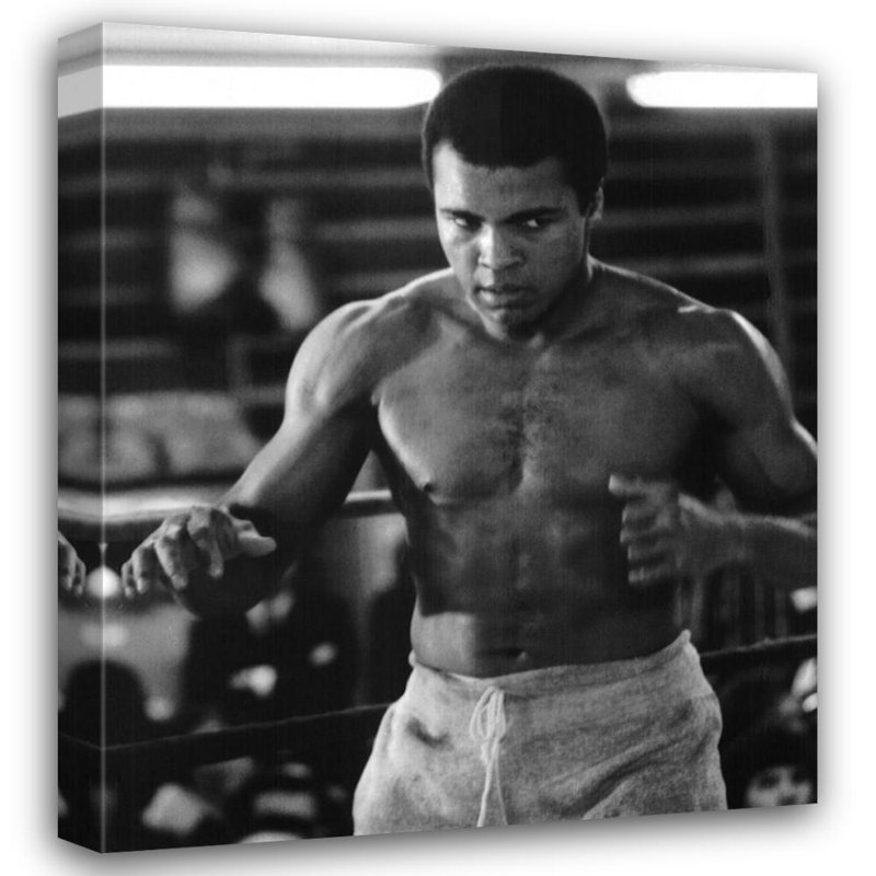 Muhammad Ali: Champion