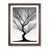 Brown Framed