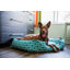 Lit pour chien marocain -1141137440-1141137443