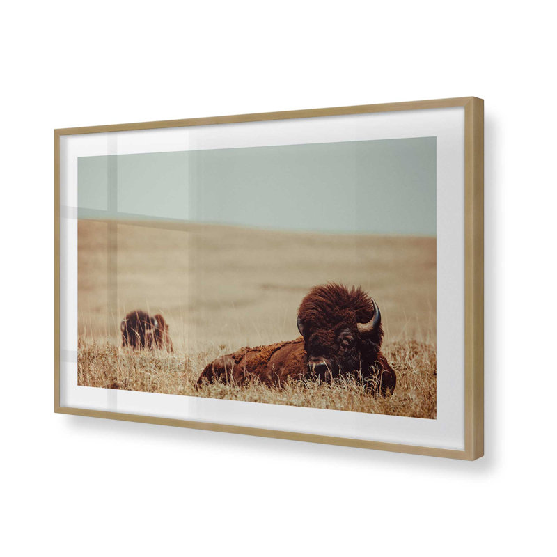 Imprimé de repos des géants des prairies, H 12,25 po x l 15,25 po, Or brossé