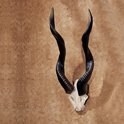 Kudu African Wall Trophies Sculpture