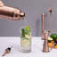 Stainless Steel Shaker