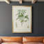 Antique Ammond Botanical II, reproduction d'art encadrée-88436515-88436510