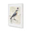 «Wheatear» par Deborah Revell, reproduction d'art sur toile-1864548060-1864548063