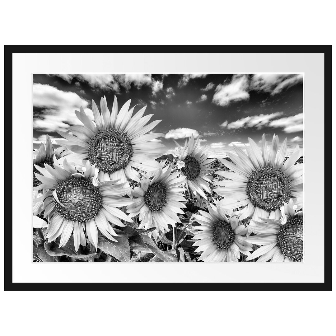 Gerahmtes Poster Sonnenblumenwiese unter Himmel