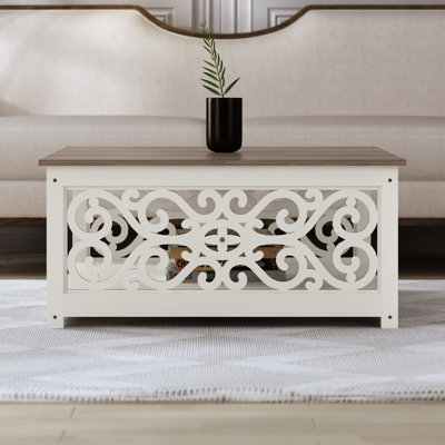Ariba Coffee Table with storage