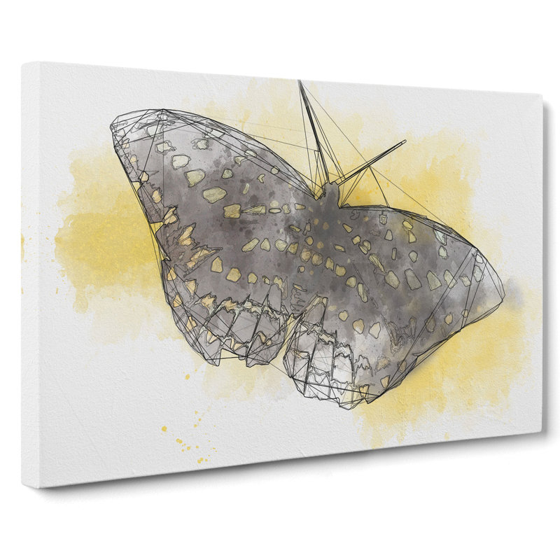 Butterfly Vol.4 Sketch - Wrapped Canvas Print, 35cm H x 50cm W x 3cm D