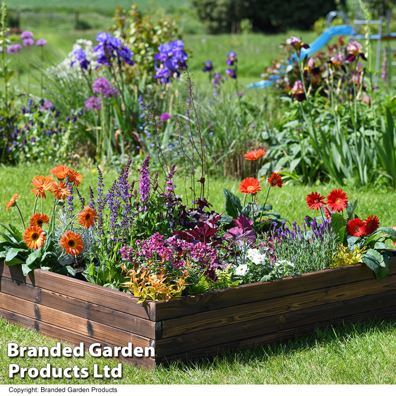 Maisie Wood Raised Flower Bed 110x90cm (x2), 116Cm H x 27Cm W x 24Cm D