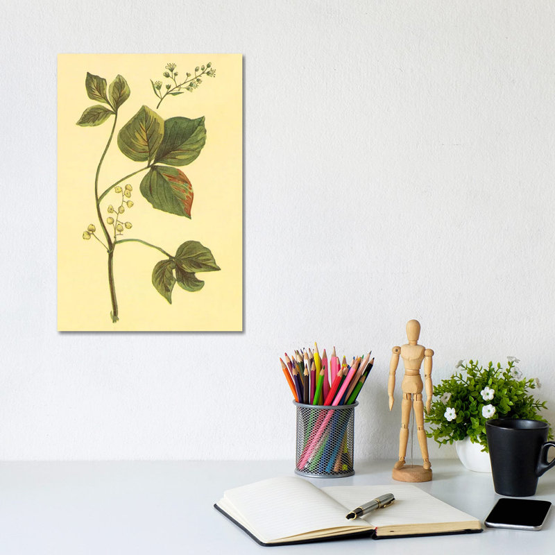 Poison Ivy And Poison Oak - Wrapped Canvas Print, 20.32 cm H x 30.48 cm W