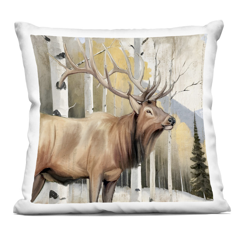 Coussin Mountain Walk Elk Forest