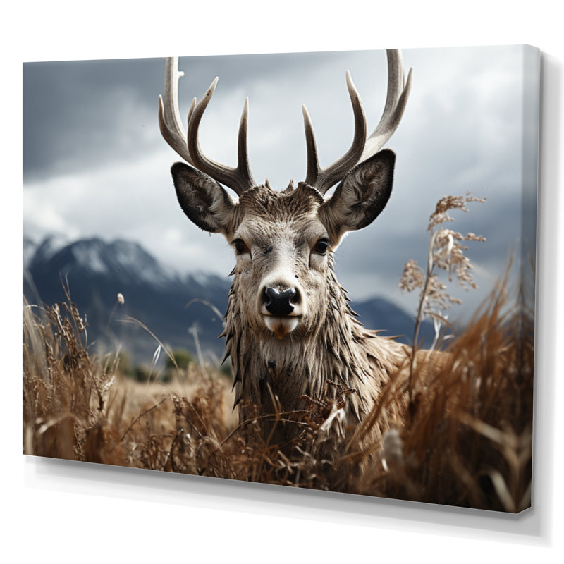 Photographie de cerf monochrome III - animaux, H 34 po x l 44 po, Toile tendue