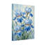 Saint-Valentin, fleurs d'iris bleu sur toile-597972773