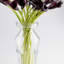 Rocco Glass Table Vase-30279022