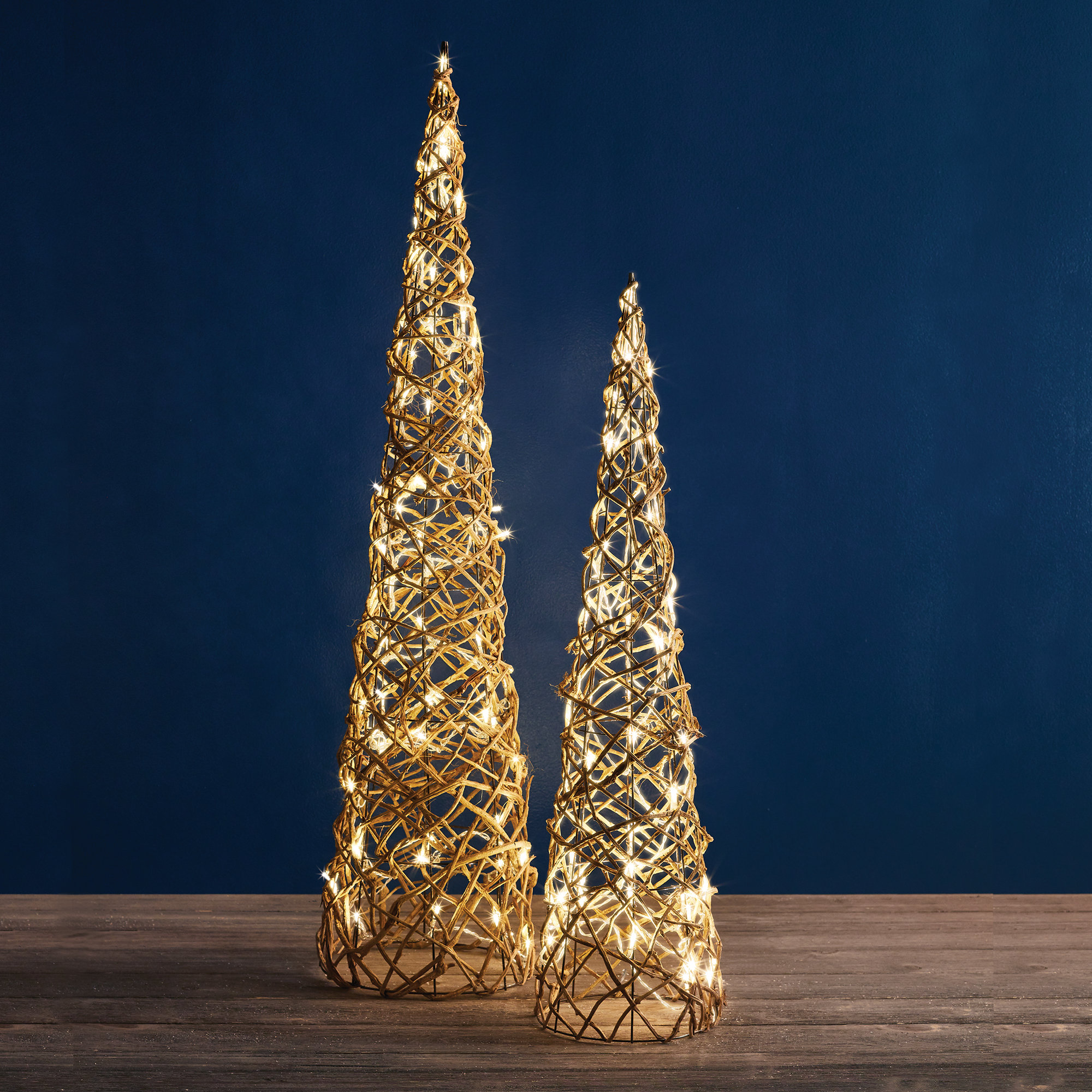 Kinsley Night Sky 60 LED Light String Lighting