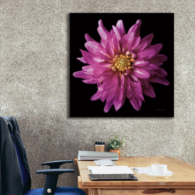  «Dahlia 5» par Debra Van Swearingen, art mural sur toile, 37 po x 37 po