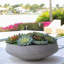 Faux Succulent in Stone Decorative Vase-35041151