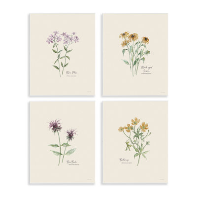  «Simple Wildflower Study» par Cindy Jacobs