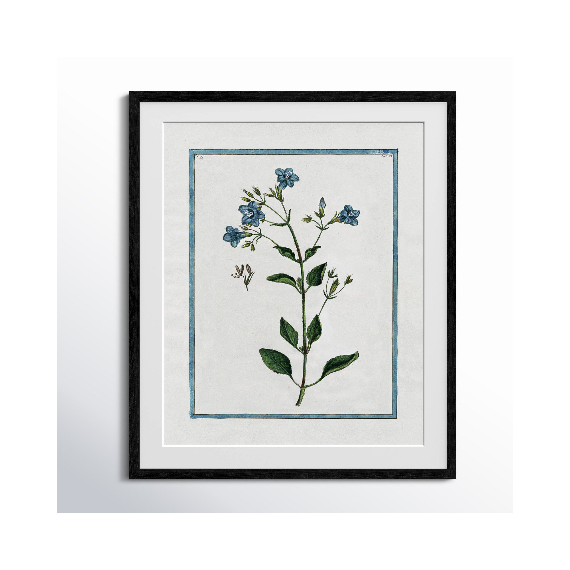 Shabby Elegance Botanical II - Framed Art, 21.5" W x 25.5" H, Black Framed