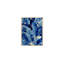 Feathers of Blue-1683973070