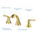 Pyramid Widespread 2-handle Bathroom Faucet with Drain Assembly