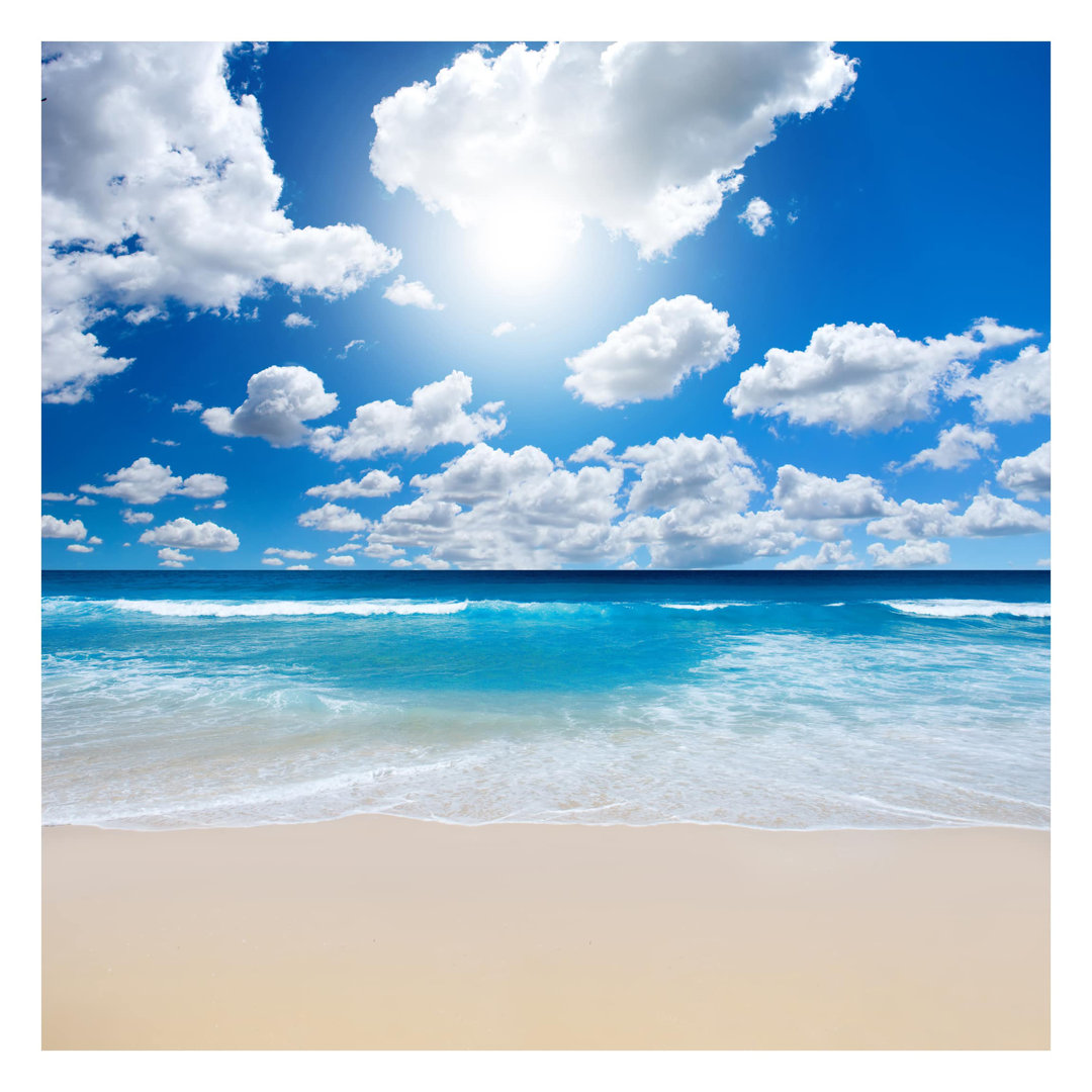 Touch of Paradise 1.92m x 1.92m Textured Matte Peel & Stick Wall Mural