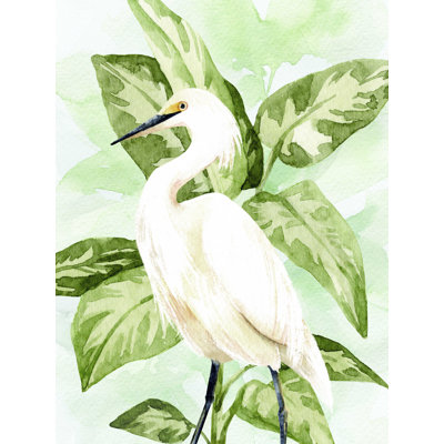 " Egret Among The Leaves "
