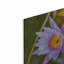 «Floral Color Theory» par AKG-1742138399