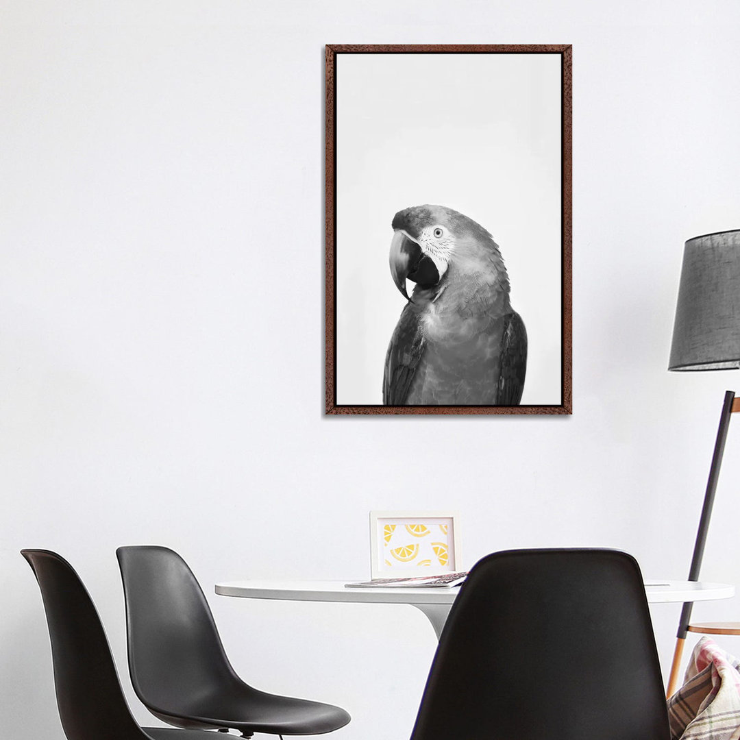 Parrot In Black & White von Sisi & Seb - Galerie-verpackte Leinwand Giclée