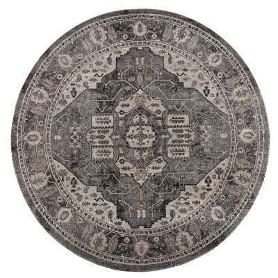 Oriental Indoor Rug