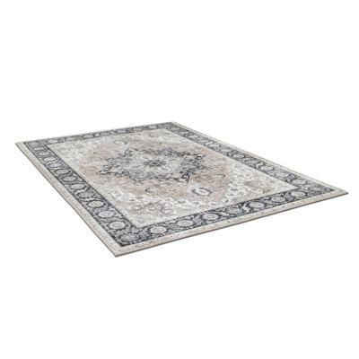 Billie Oriental Area Rug