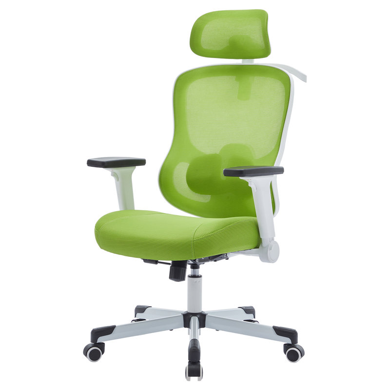 Fauteuil de bureau ergonomique Mawgan, Vert